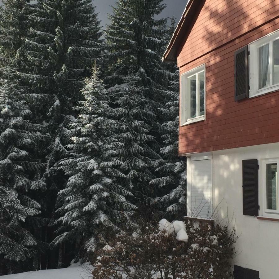 Ferienwohnung Boerner Kniebis Kültér fotó