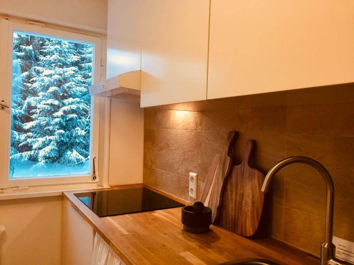 Ferienwohnung Boerner Kniebis Kültér fotó